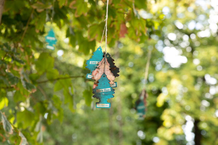 Aeron Bergman & Alejandra Salinas, Burned Little Trees™ (2019), installation view in the Sculpture Garden, Kunsthal Aarhus. Photo: Mikkel Kaldal.