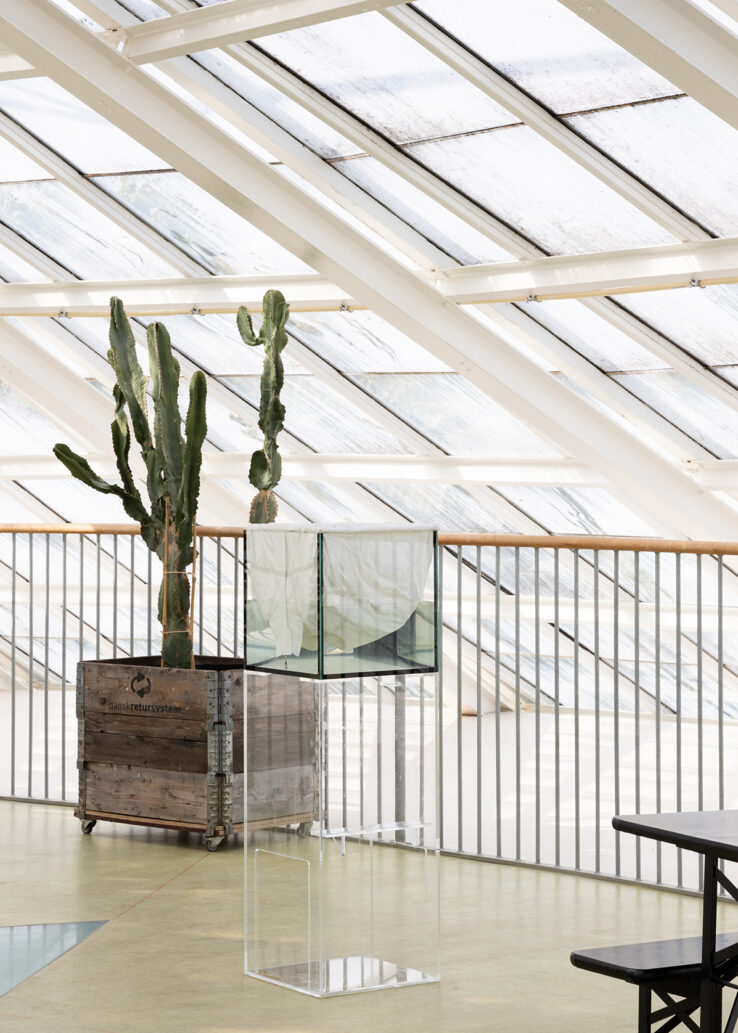 Richard Frater, Stop Shell (ghost fishing version) (2018), installation view in the Greenhouses in The Botanical Garden. Photo: Mikkel Kaldal.