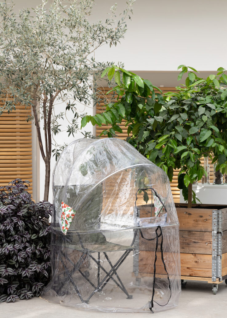 Maximillian Schmoetzer, Me and you (2018), installation view in the Greenhouses in The Botanical Garden. Photo: Mikkel Kaldal.